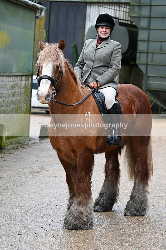 WJ7_8683 - Berks & Bucks - Rowles Farm 15-02-26