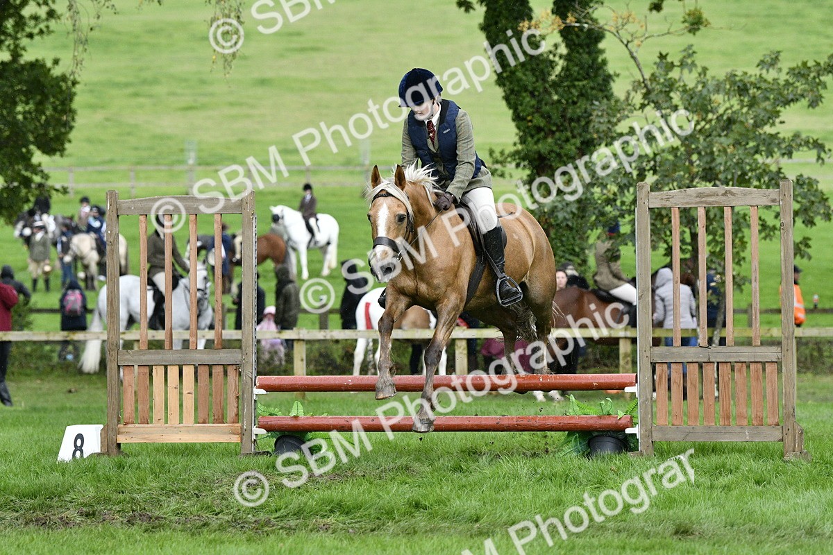 SBM_42244 - S32 - Mountain & Moorland Working Hunter Pony