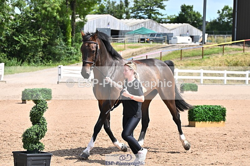 240718A-105249-01207 - Trot Up 12pm to 1pm