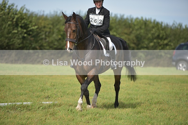 RAY_7935 - Class 2B: Trekenning Open: Dressage