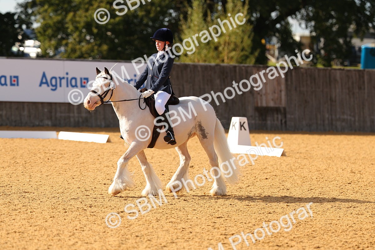 SBM_49661 - D22 - Junior Championship - Intro B
