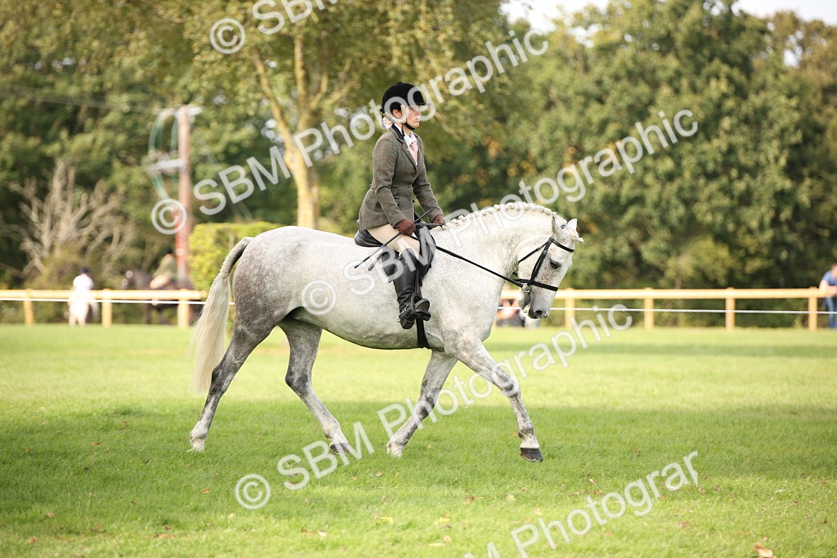 SBM_70362 - S66 - Hunter Ridden