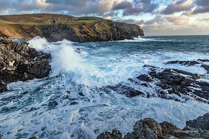 Waves at the Sound - Latest additions