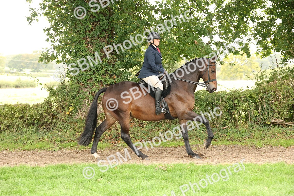 SBM_63009 - S64 - Foreign Breeds Ridden