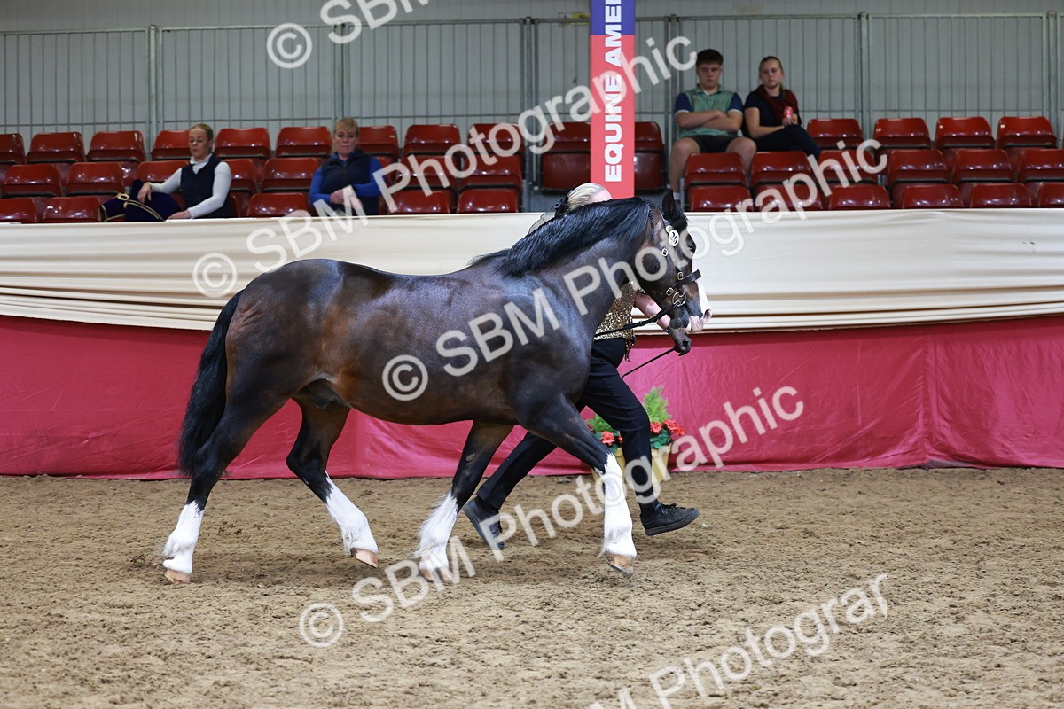 SBM_17417 - Class 951 - M&M IH Supreme Final