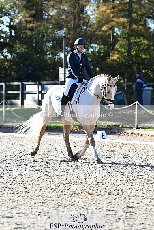 231110-111239-00345 - Cls 2 Prelim 17(a)Q