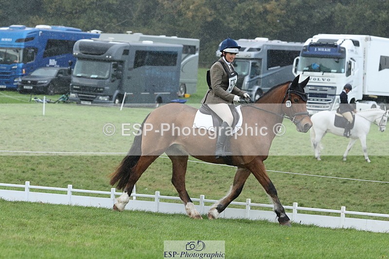 251024A-145547-14319 - G-575-Victoria.Woodland