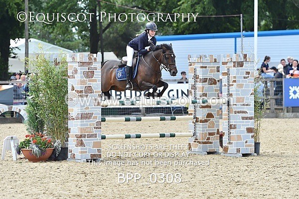 BPP_0308 - RHS 2019 Selection - *Just some random spectator shots so Lucky Dip if you are there!