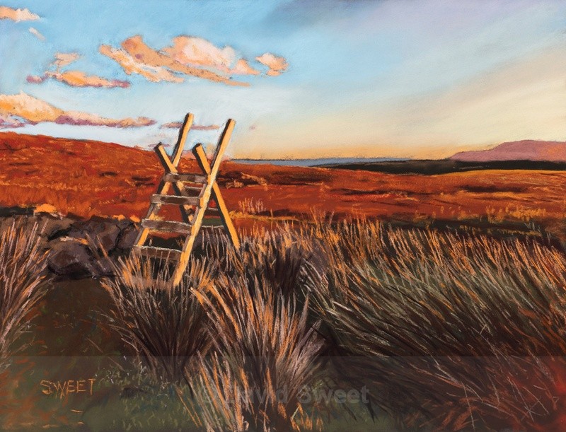 Last Light, Antrim Hills - Paintings