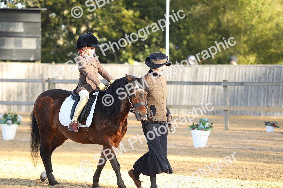 SBM_33682 - D26 - Starers - Lead Rein