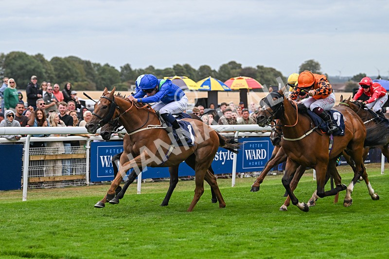 300825-Race 7-Urban Sprawl-2152 - Race 7