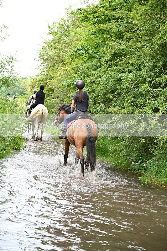 WJ7_1923 - Camera 2 Water Crossing