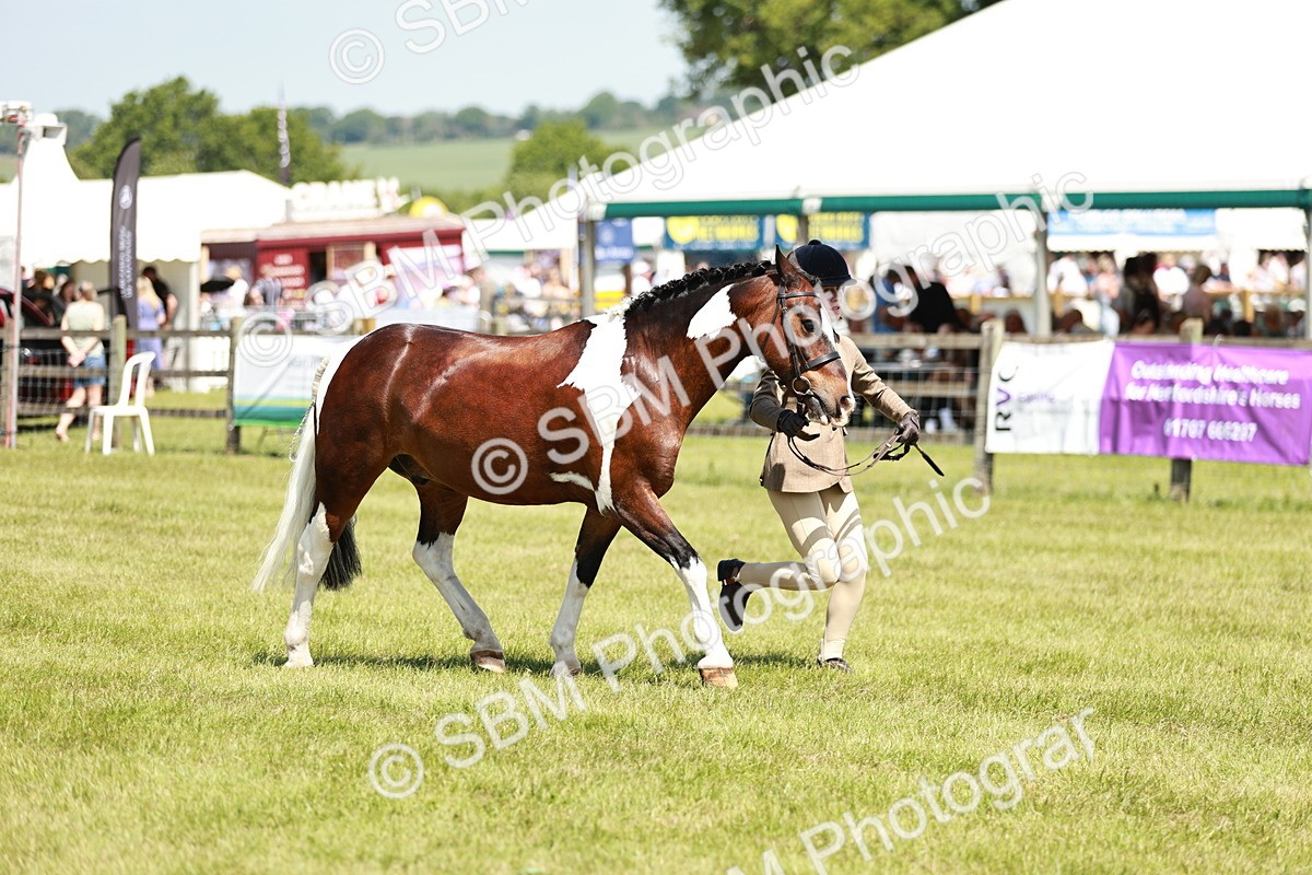 SBM_15495 - Class 108-109 - BSPS LIHS Open Gradle & Nursery Stakes