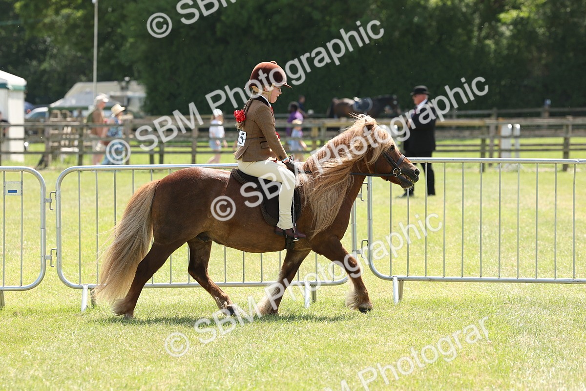 SBM_05385 - Class 24-25 - Mountain & Moorland In Hand Lead Rein and First Ridden