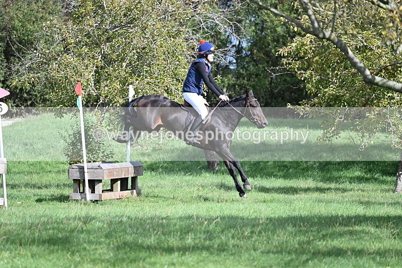 WJ7_8574 - 60cm Pairs