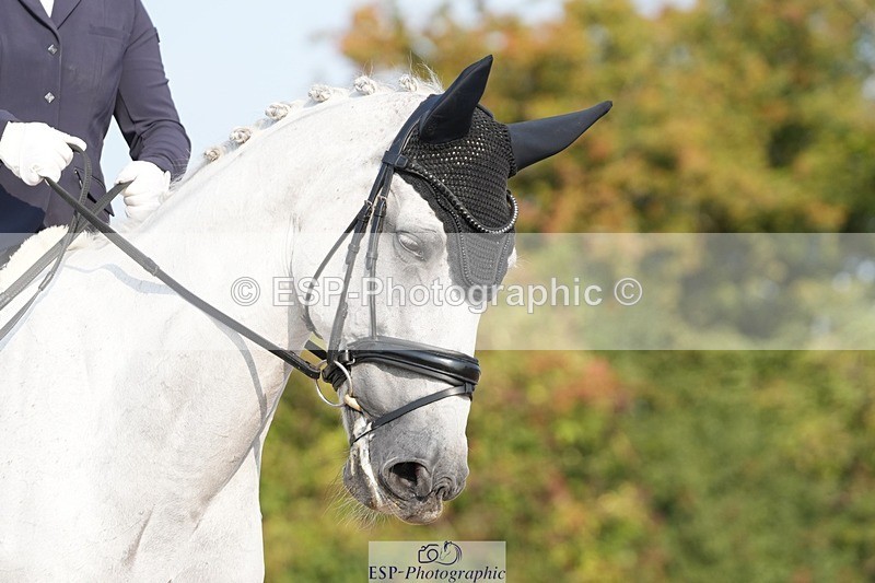 250817-092753-07543 - 122-Stacey.BlunnDiamond.Bobby