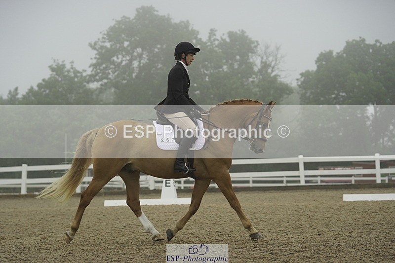 230708A-145940-03952 - Prelim 18