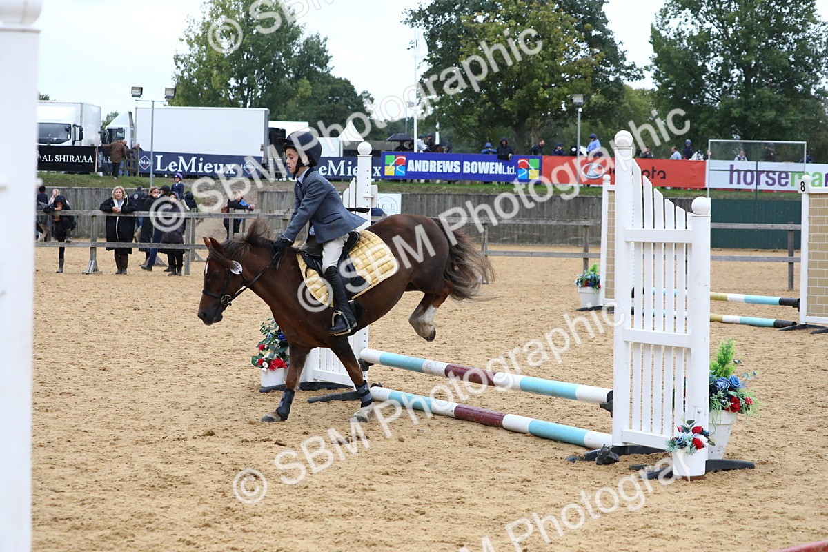 SBM_68416 - J3b - Mini Tour Junior Pony 40cm Championship