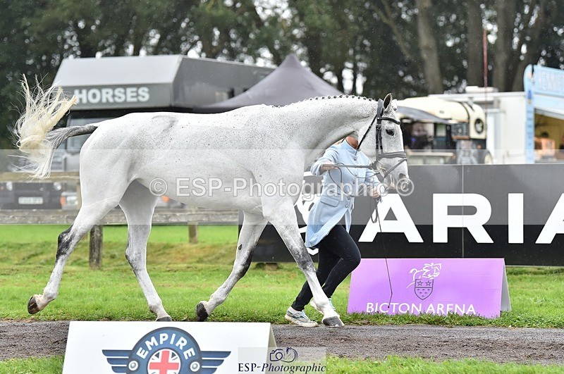 231018-123058-00346 - 042-WKD.COOLEY-Chiara.Grimaldi-TrotUp