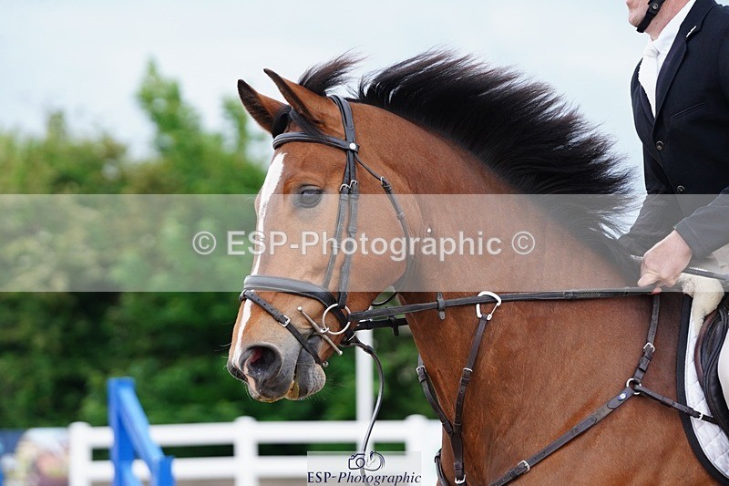 250524-101716-06159 - Cls 20 A&B Snr Brit Nov & 90 Open