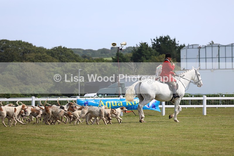 3E7A0141 - Parade of Hounds