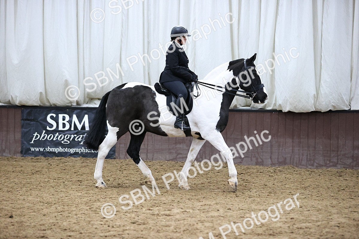SBM_6335 - Class 45-42 - Ridden Irish Breeds-Ridden Cob