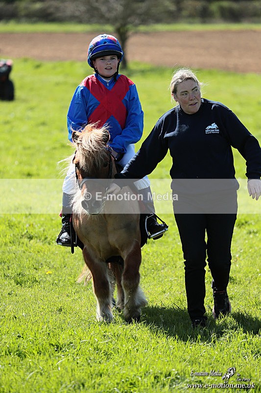 Shet 060426 344 - Shetland Pony Racing Paxford Races Easter Mon 06/04/26