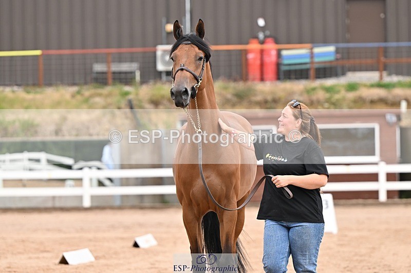 250716-152238-01890 - Trot Up 2.30 to 3.30