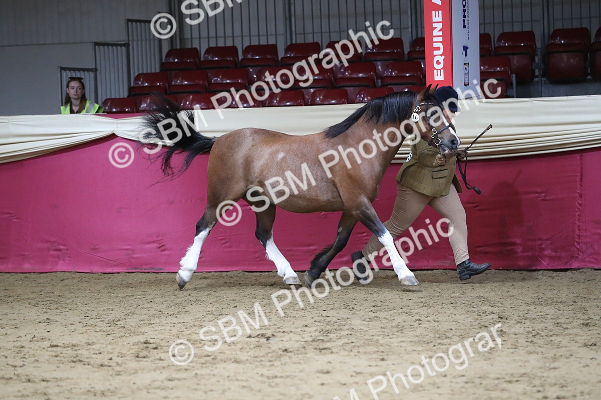 SBM_06332 - Class 9R Regional- IH Pre Vet