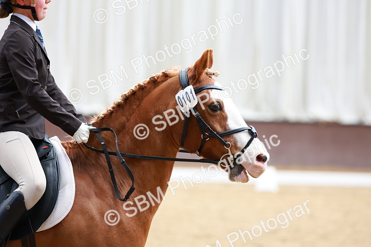 SBM_002174 - Class 10 - Prelim 2 - 13.15-15.00