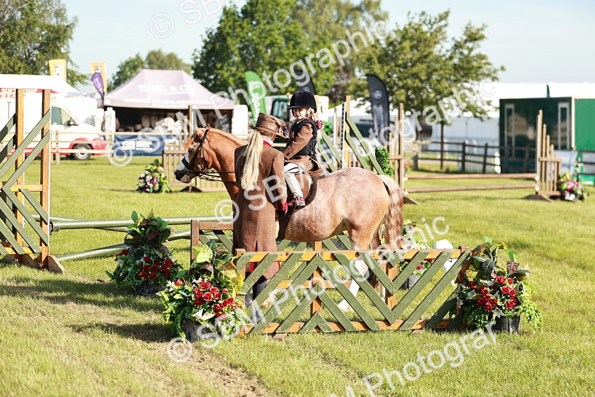SBM_11198 - Class 106-107 - BSPS LIHS Working Sports Pony