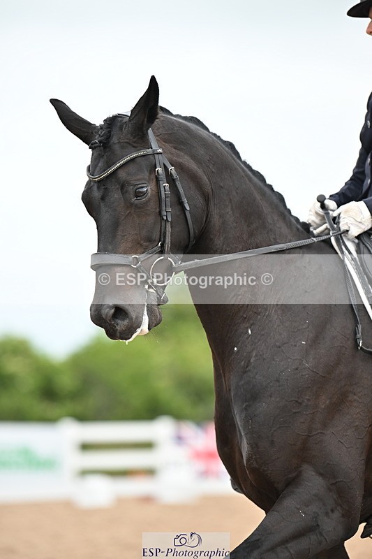 240623A-143944-19070 - Cls 51 BD Elementary 53