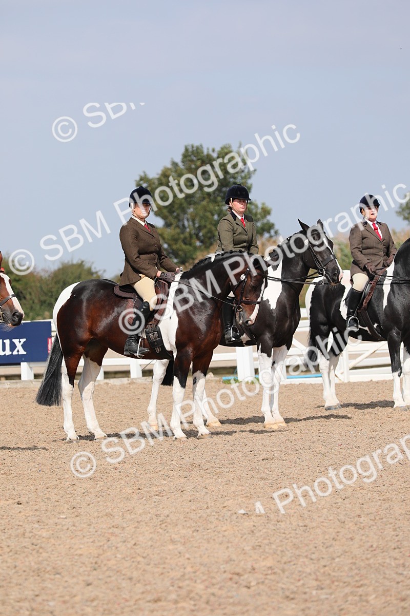 SBM_13504 - Class 308 Ridden Coloured Horse