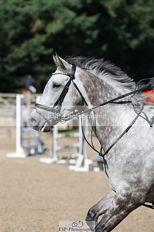 250703A-085552-00162 - Cls 5 85cm Amateur Qualifier