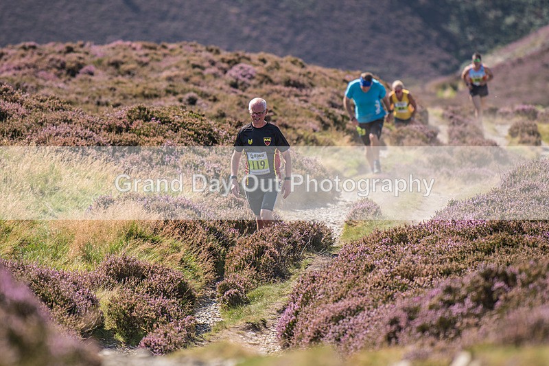 Barrow -491 - Barrow Fell Race, Monday 25th August 2025