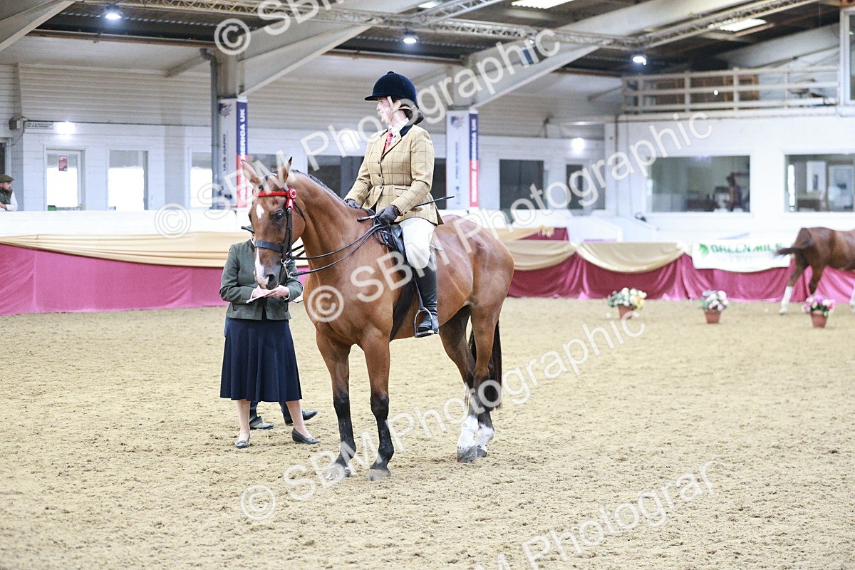 SBM_08173 - Class 11R - Regional Ridden Veteran