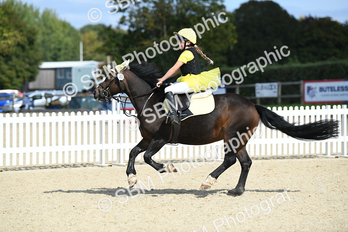 SBM_64773 - J48 - Pairs Jumping Open 70cm & 85cm