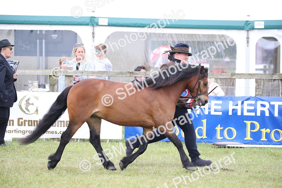 SBM_09744 - Ch 50 - Price Family Supreme In Hand