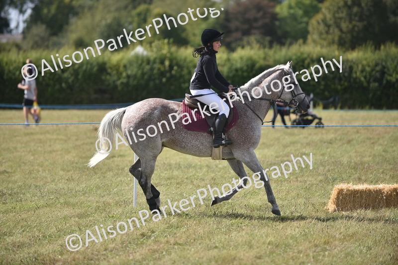 20260906-2711 - Class 13 - Working Hunter Horse or Pony