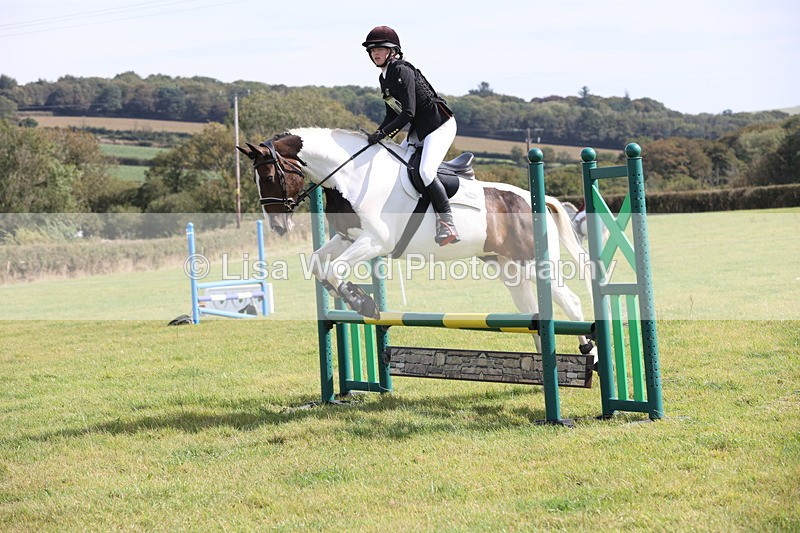 JPP_8678 - Class 2: Trekenning: 80cm Showjumping