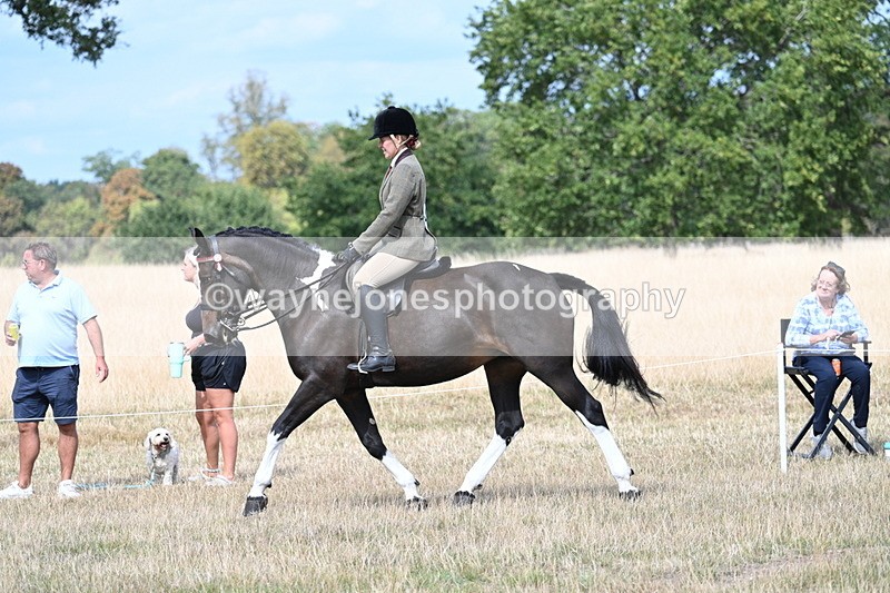 WJ7_5847 - Class 13 Ridden Veterans