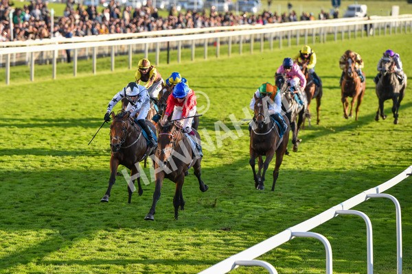 141023-Race 7-Star Ahoy-1653 - Race 7 4.45pm Coral 'Committed To Safer Gambling' Finale Handicap
