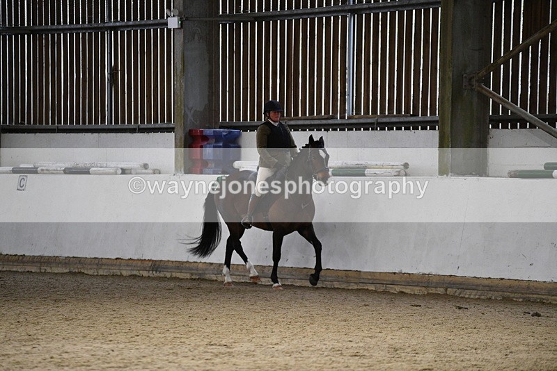WJ5_8334 - Class 14 Novice Ridden/Rider
