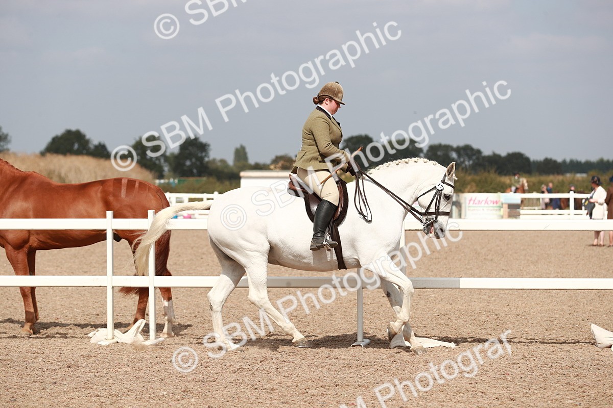 SBM_14819 - Class 212 Ridden Hunter - Small