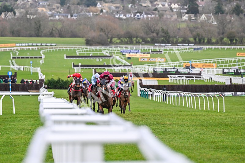 240126-Race 4-Favori De Champdou-6829 - Race 4