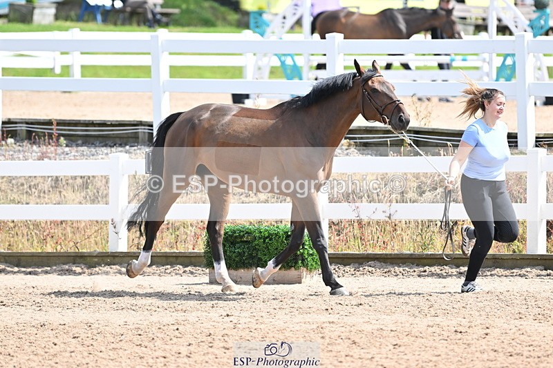 240717A-151613-02700 - Trot Up 3pm to 4pm