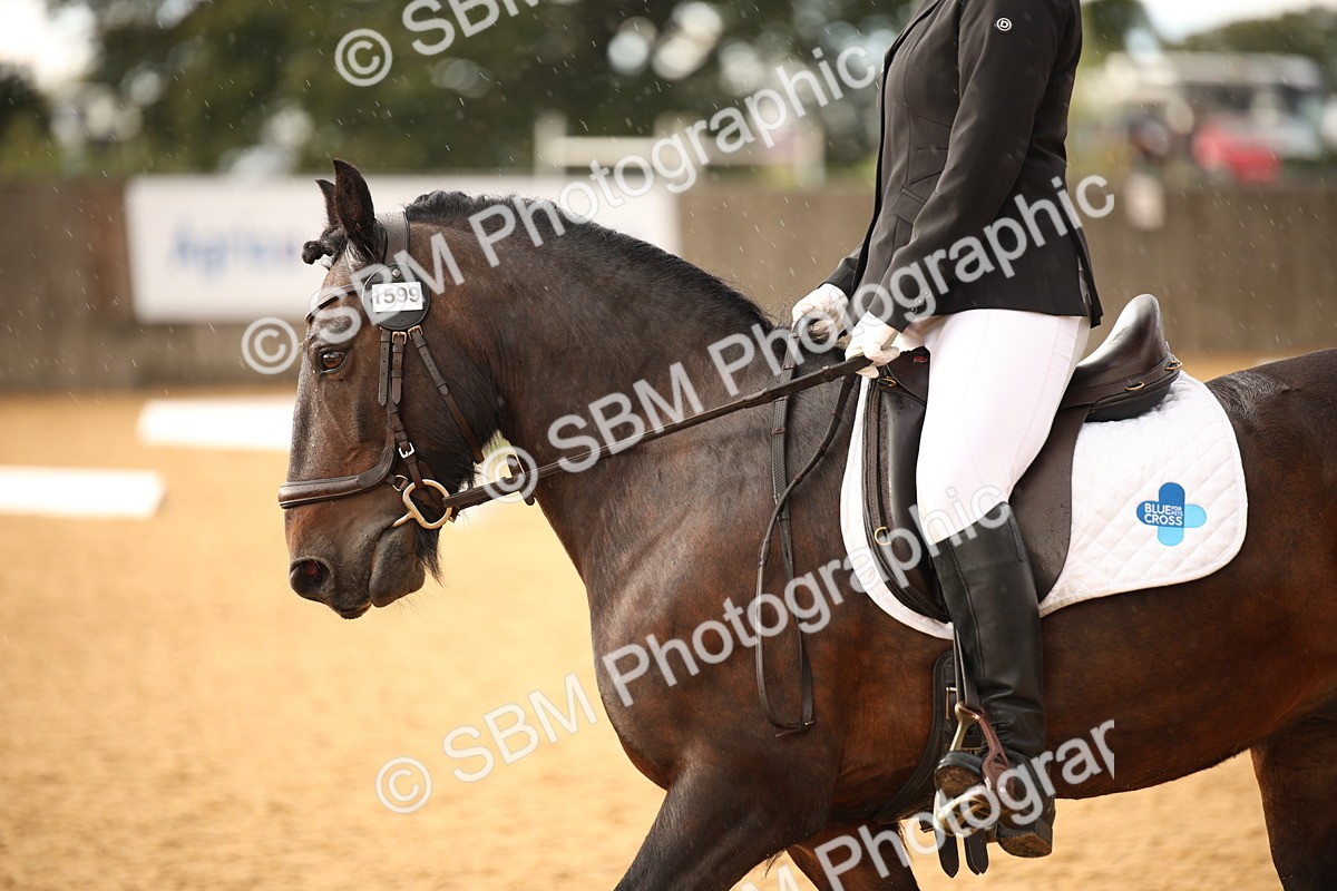 SBM_12399 - D3 Small  Tour Championship Intro A