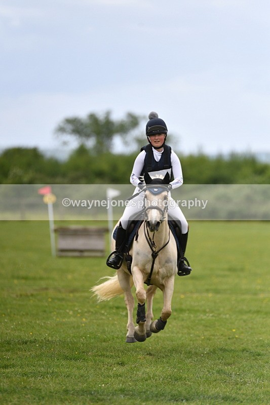 WJ5_3983 - Class 6 80cm