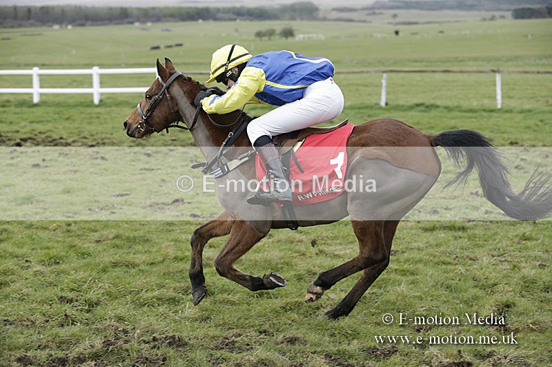 PtP 150320 0836 - New Forest Point-to-Point Larkhill 15/03/20