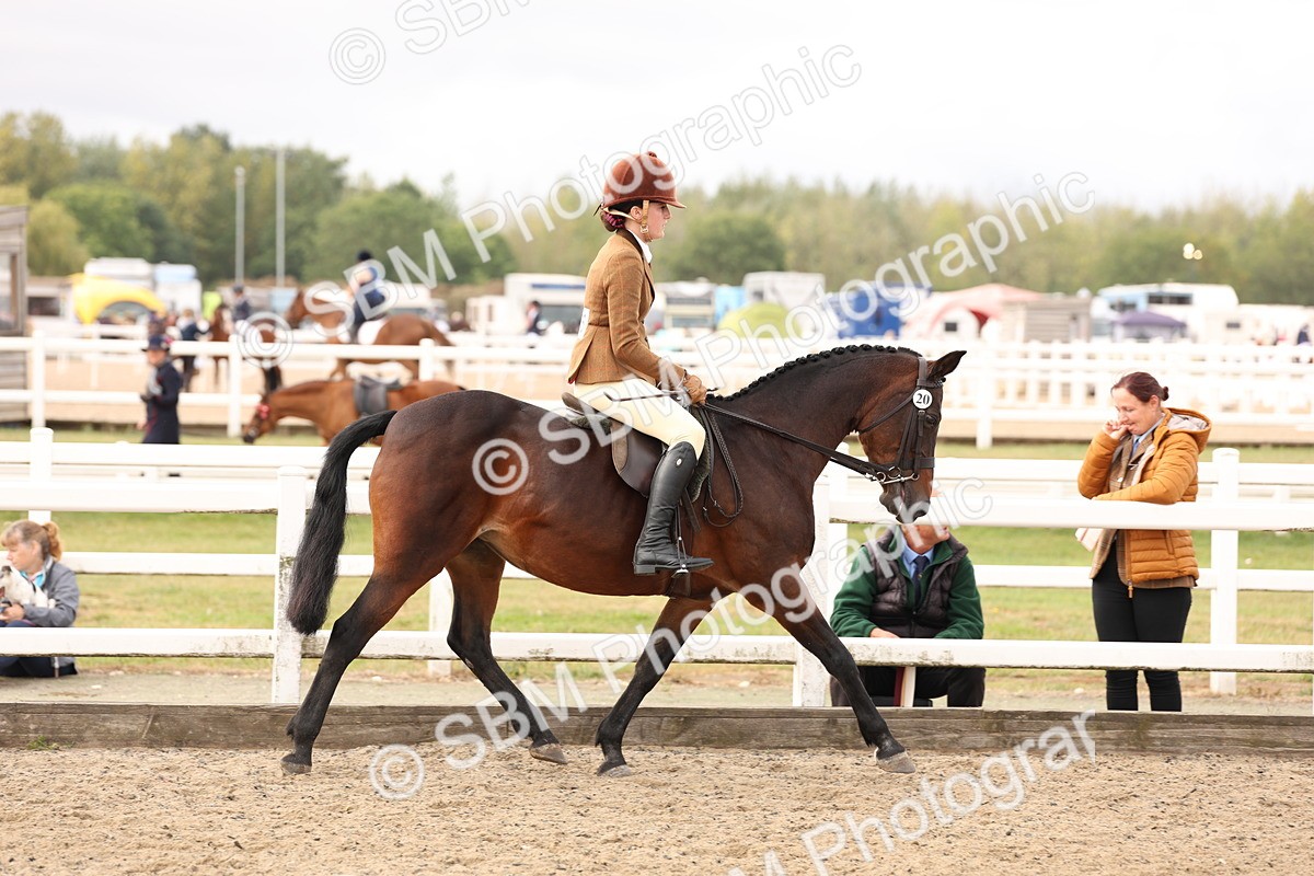 SBM_01562 - Class 52 - Ridden Veteran